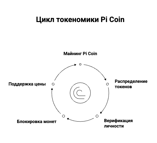 Цикл токеномики Pi Network